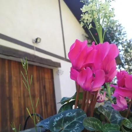 Atico Acogedor En Zona Rural Cerca De La Costa Y Las Ciudades. *